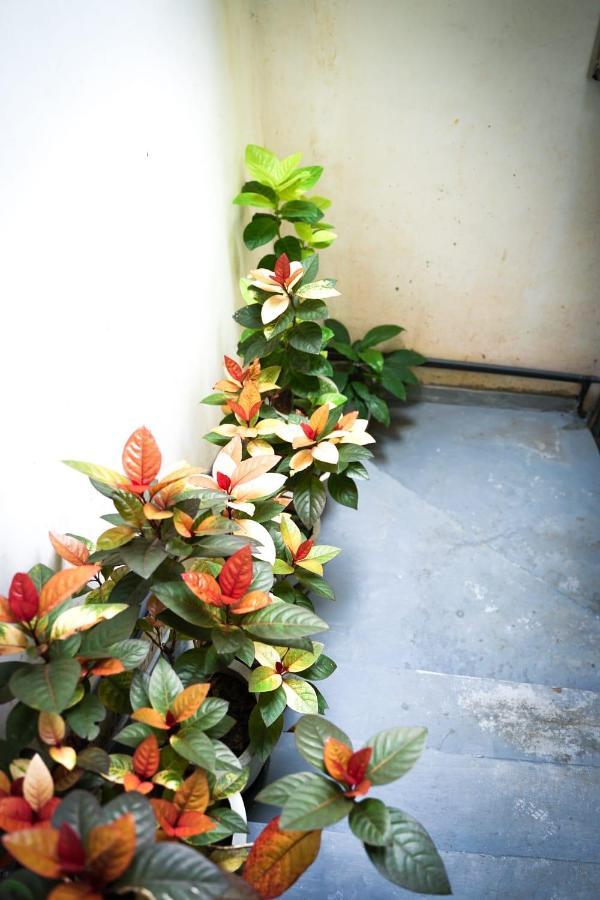 The Bbc Cheliyan Villa แคนดี้ ภายนอก รูปภาพ